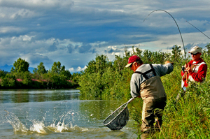 Silver Fishing